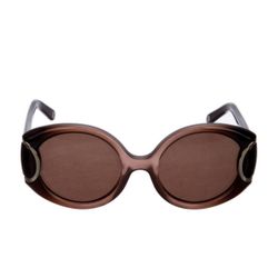 Salvatore Ferragamo Tinted Glasses