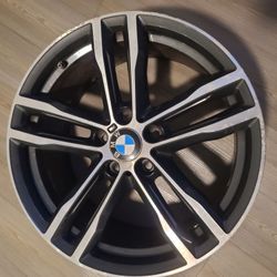 Rims 