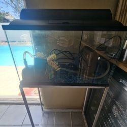 Aquarium With Stand