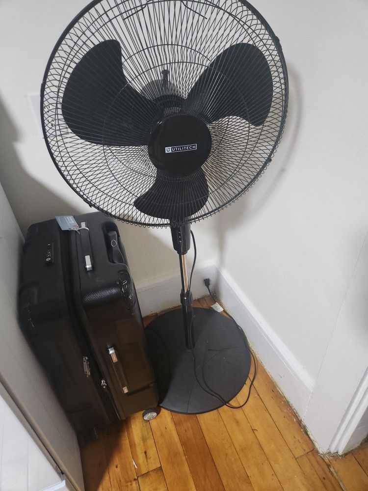 Oscillating Fan