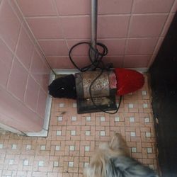 Dremel Shoe Shiner WORKS GREAT