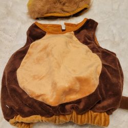 Baby Lion Halloween Costume. Puffy And Soft. Like New. 