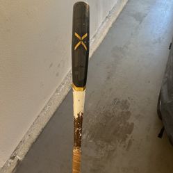 Easton beast Baseball bat