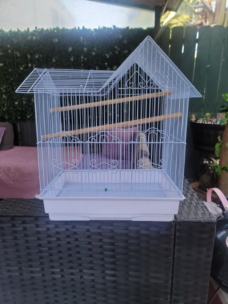 Bird Cage