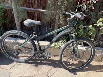 Schwinn mtn bike
