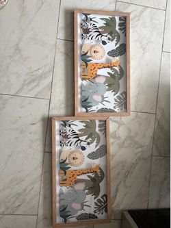 Safari glass wooden frames