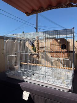 Bird cage
