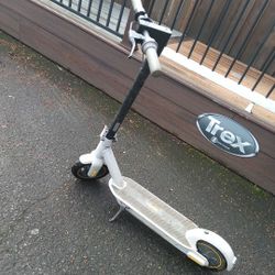 Segway Scooter 