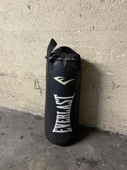 Everlast Punching Bag