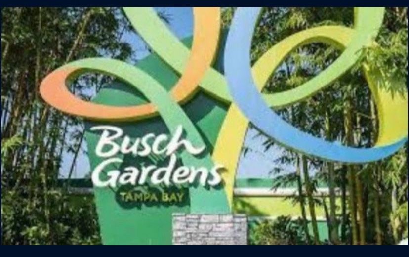 Busch Garden Tampa 