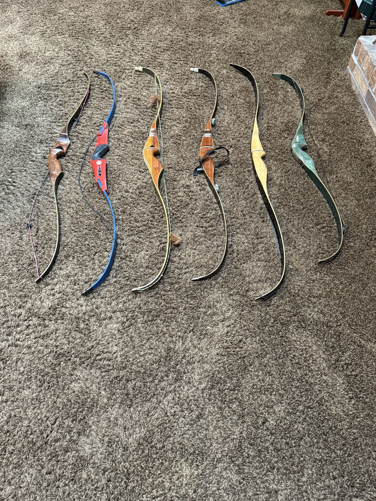 Bear Recurve  Bows 