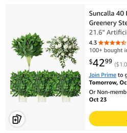 40pc Italian Ruscus 21” Greenery Stems Leaves NEW