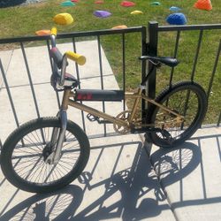 Bmx GT  20 Inch 