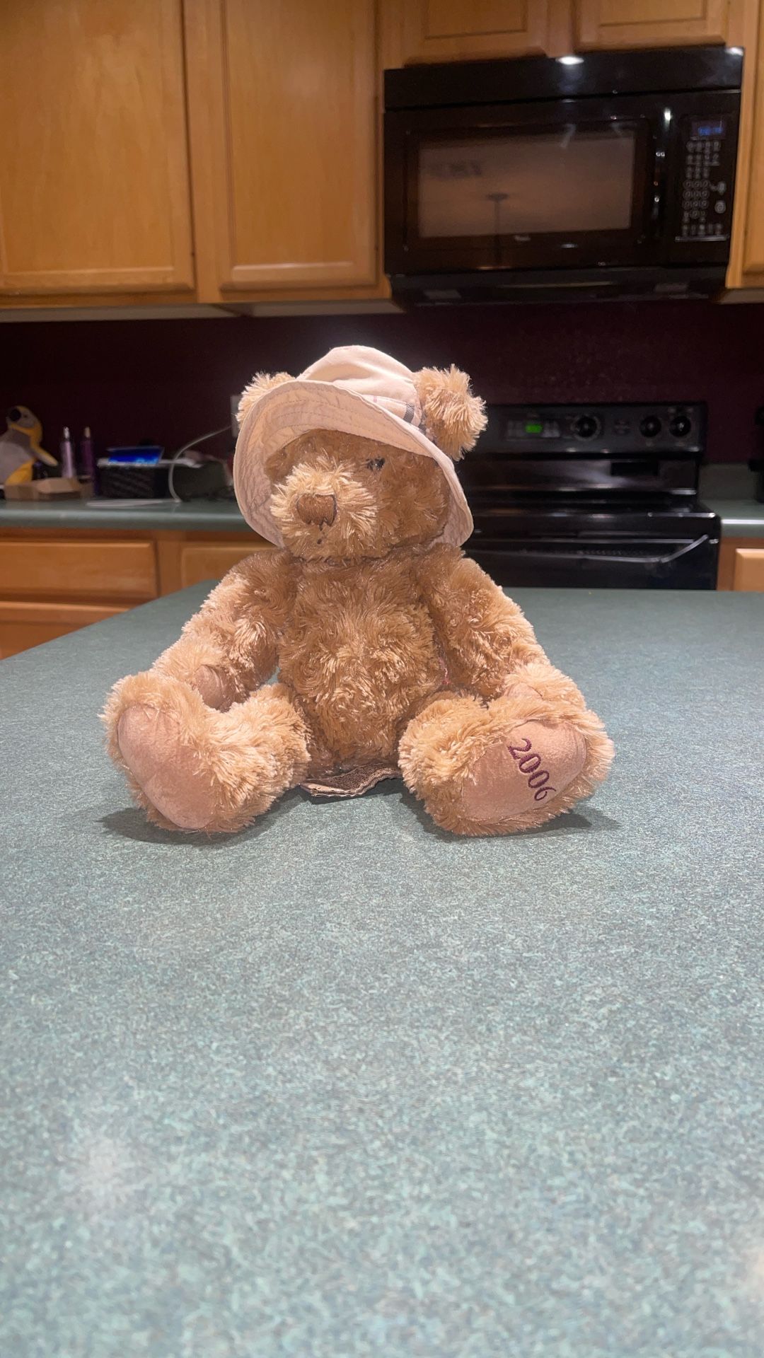 Burberry Baby Teddy Bear 2006 With Checkered Fisherman Hat Cuddly Soft Plush 12”