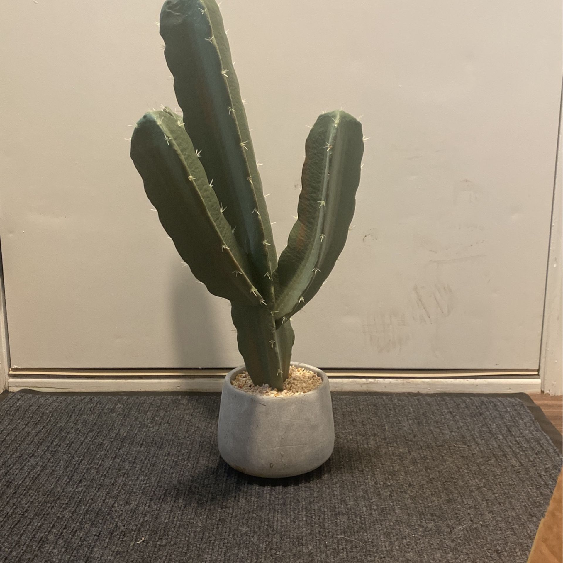 Faux Cactus