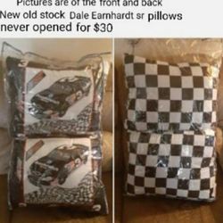 Dale Earnhardt Sr Pillows and Pin