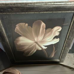 Charles Britt Champagne Tulip II