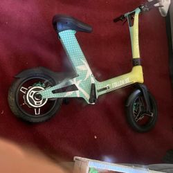 Selling My Electric Vehicles, Let Go Price For All Of Them