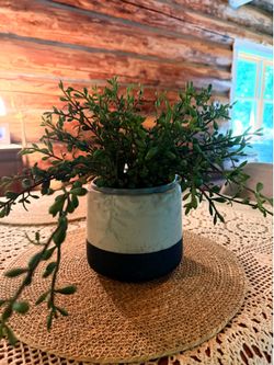 Faux plant - home decor