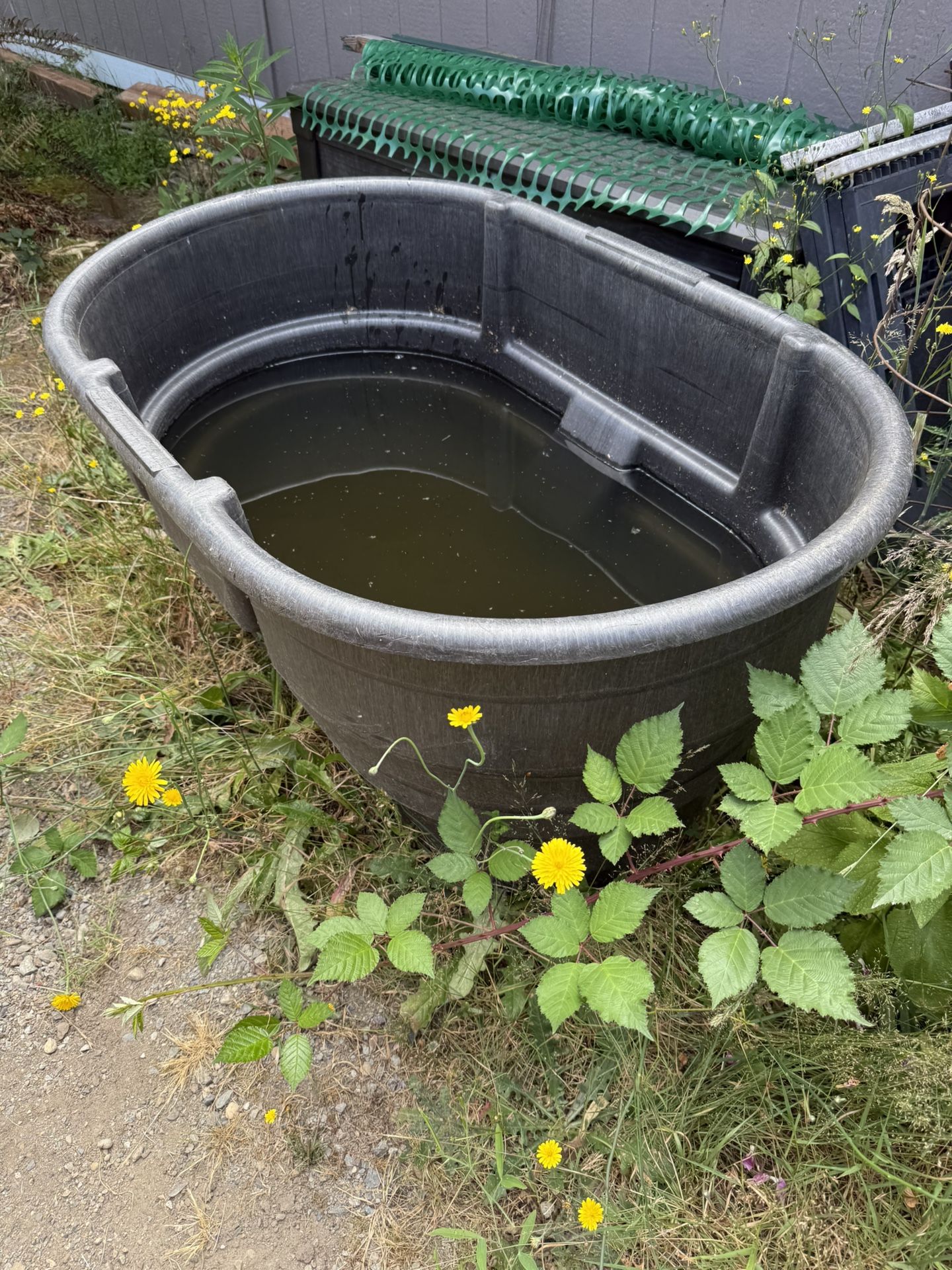 100+ Gallon Stock Tank