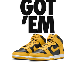 Wu-tang dung high size 10 DS