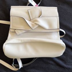 Purse/backpack 