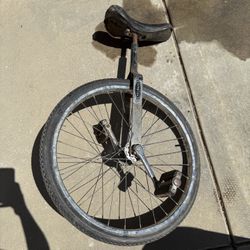 Unicycle