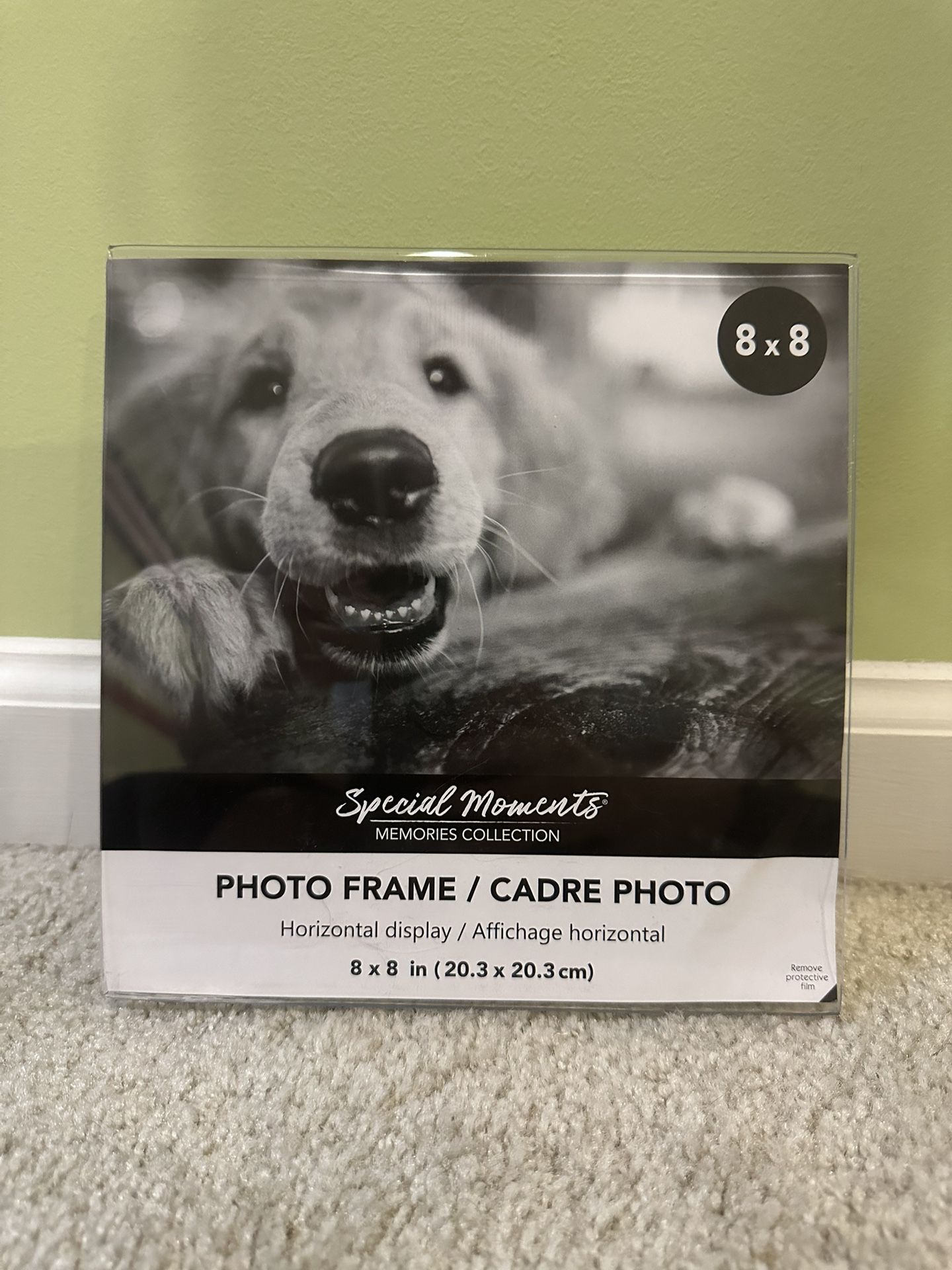 Plastic Picture Frame