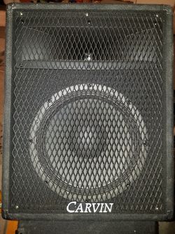 Powerful 10" Monitor, Carvin wedge. 300 watts @8ohms. New condition