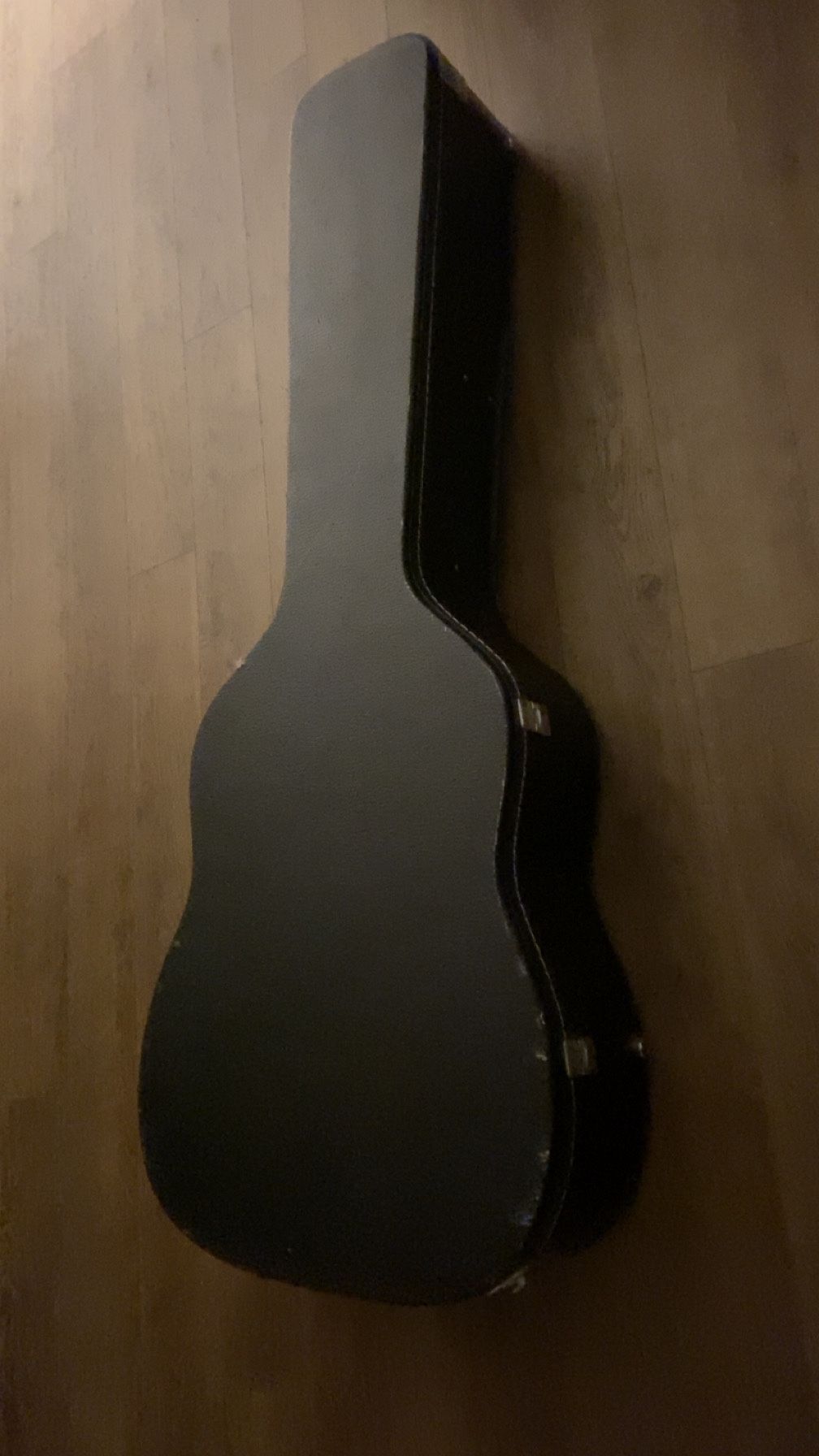 Guitar Case