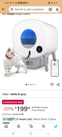 cat litter box