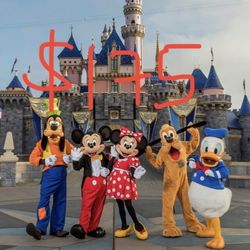 Disneyland Tickets