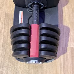 Set Of Adjustable Dumbbells And Bench