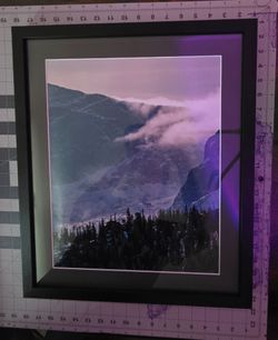 Portrait Set: 1(17.5"x20.5") & 2(13.5"x20") - $200