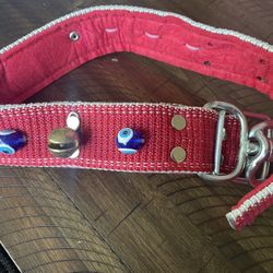 dog collar wit