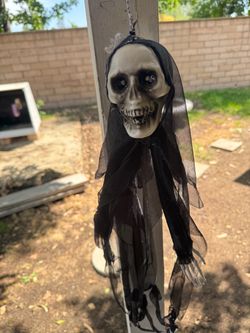 Hanging skeleton