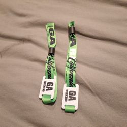 Rolling Loud Wristbands 