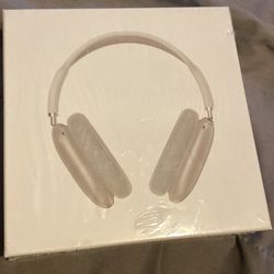 Apple Air Pod Maxes