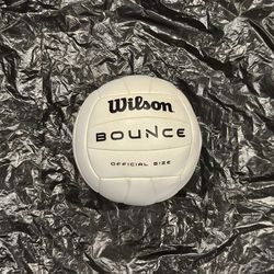 Wilson Bounce Volley Ball 8.15 inches in diameter 