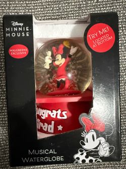 Disney Graduation Globe