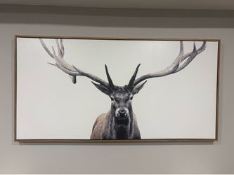 Canvas Wall - Art