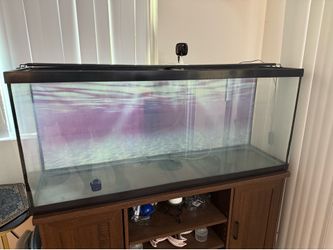 Aquarium