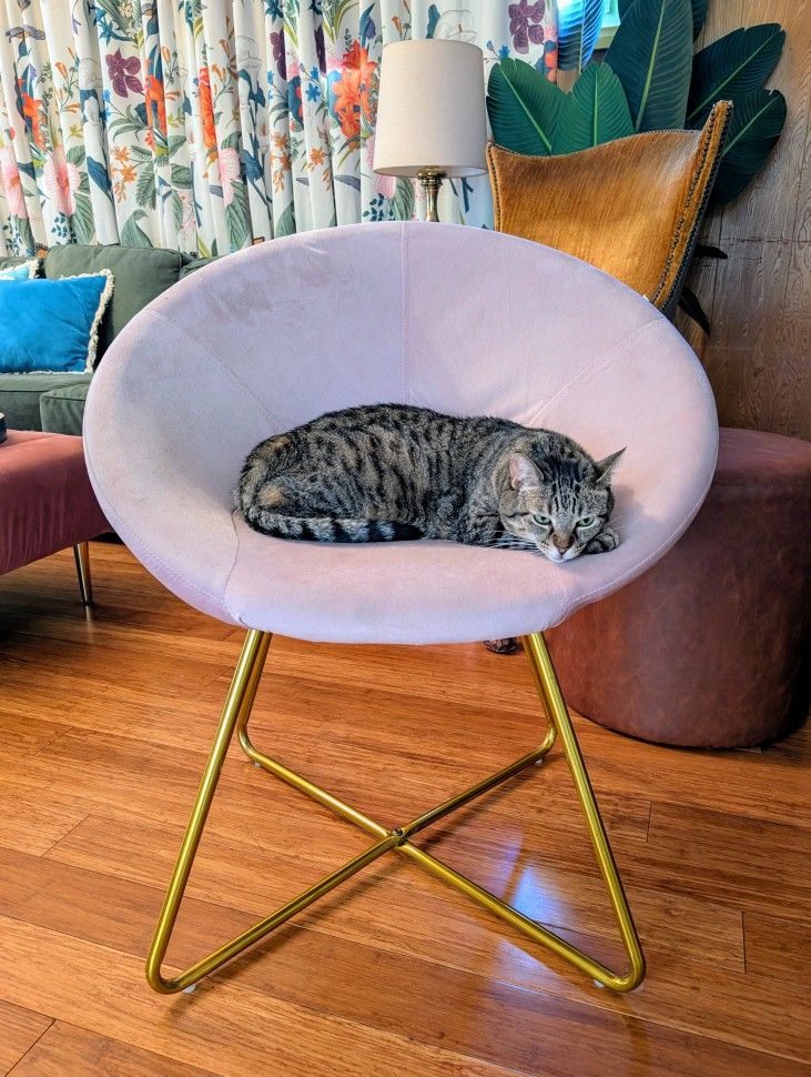 Comfy Pink Saucer Chair