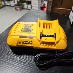 Dewalt Fast Charger