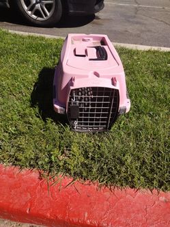 Small pet carrier