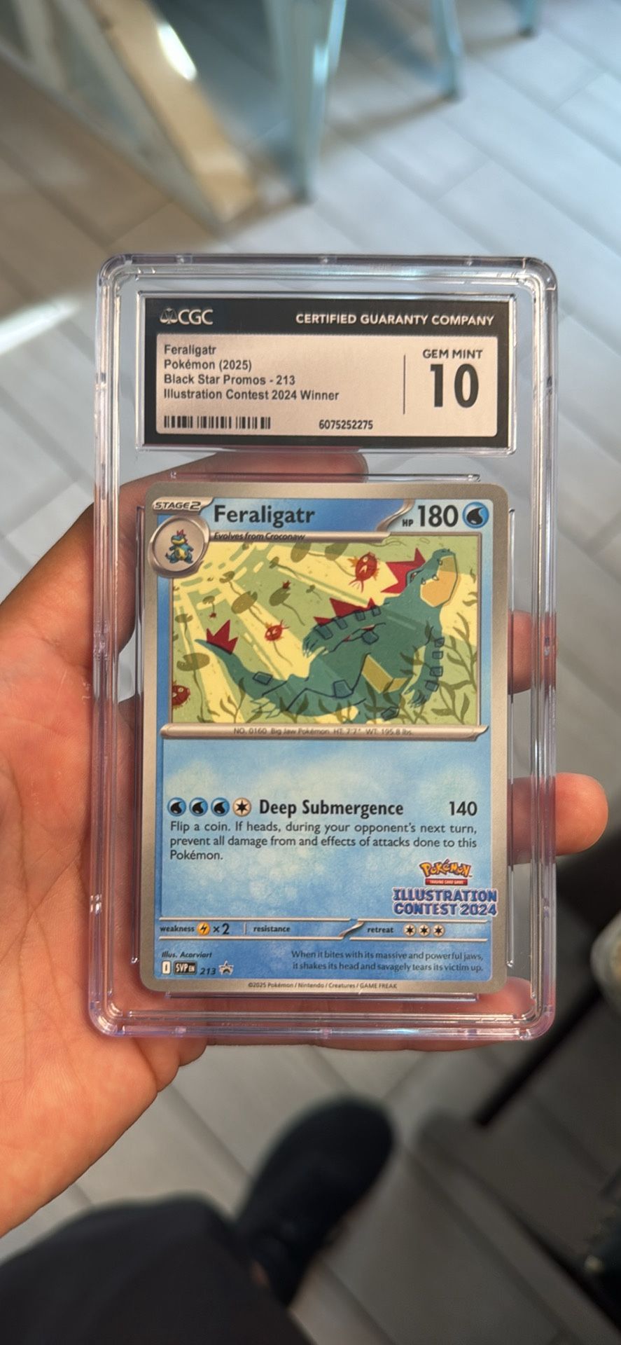 213 feraligatr illistration contest 2024 cgc gemmint 10