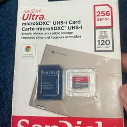 SD Card 256 GB 