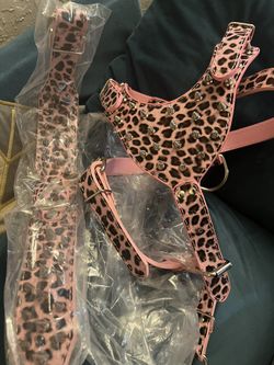 Pink Spiked Leopard Collar And Harness