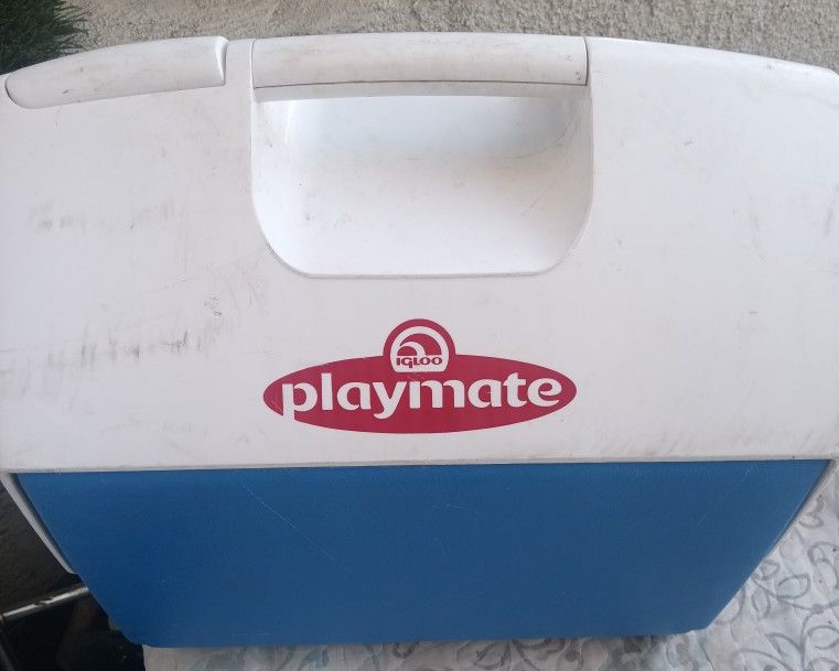 Playmate Ice Chest
