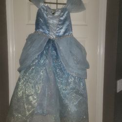 Disney Cinderella Dress 